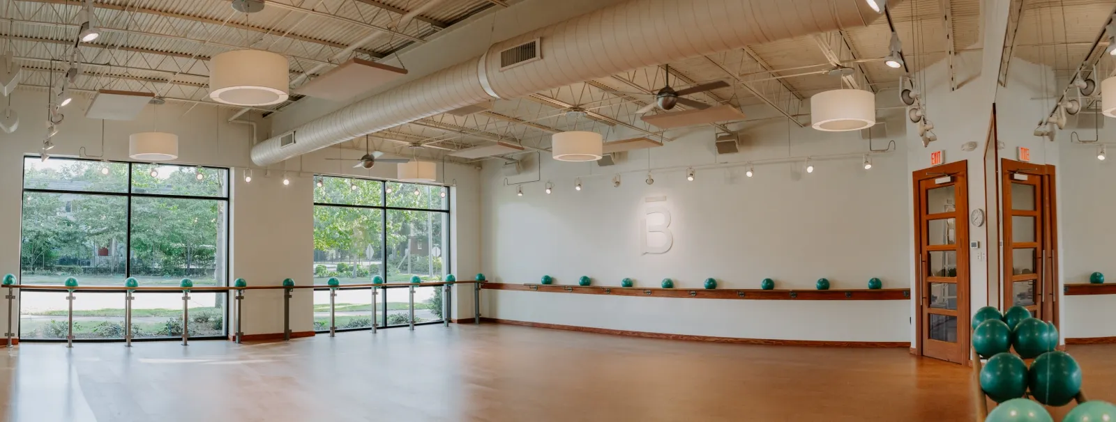 Core balls on a barre rail