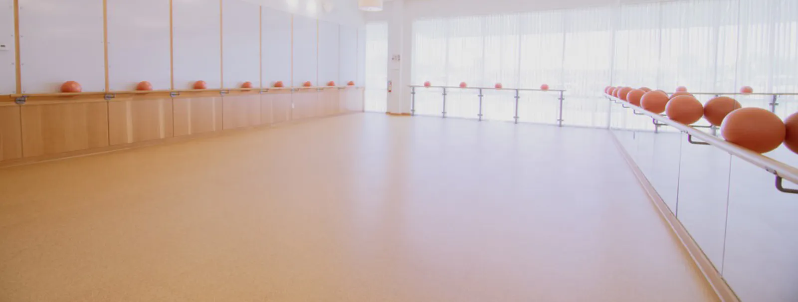 Core balls on a barre rail