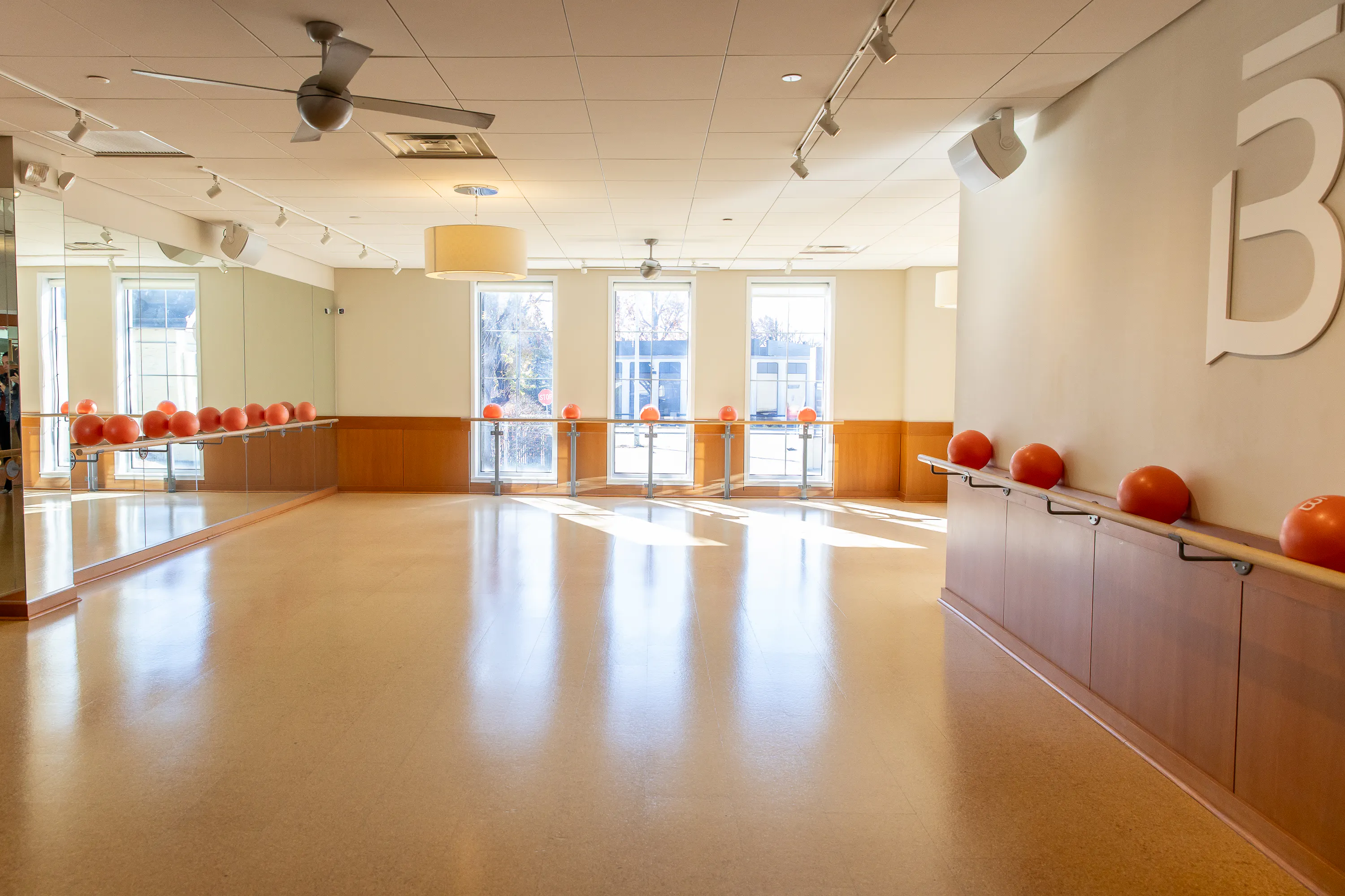 Core balls on a barre rail