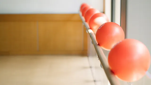 barre3 core balls rests on a barre
