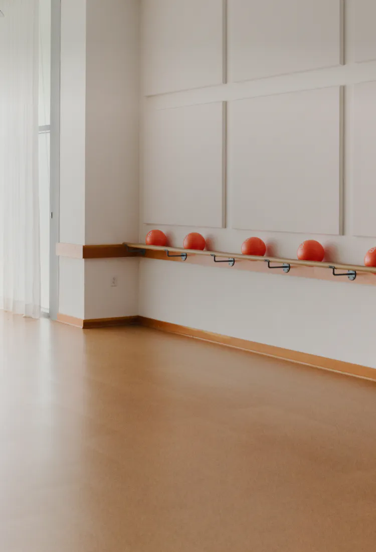 core balls on a barre rail 